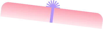 Ʈ ڽ ĸ