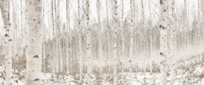 _4.gif