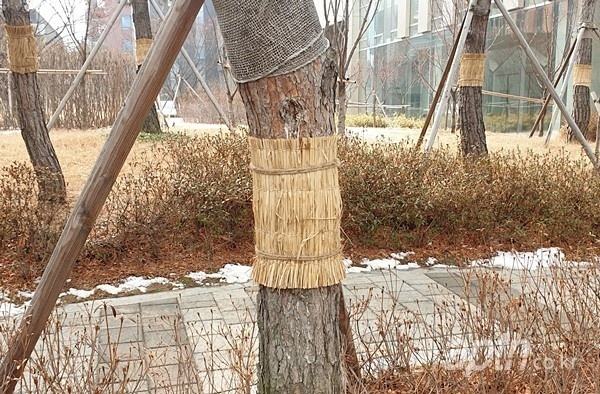 KakaoTalk_20221201_195417620.jpg