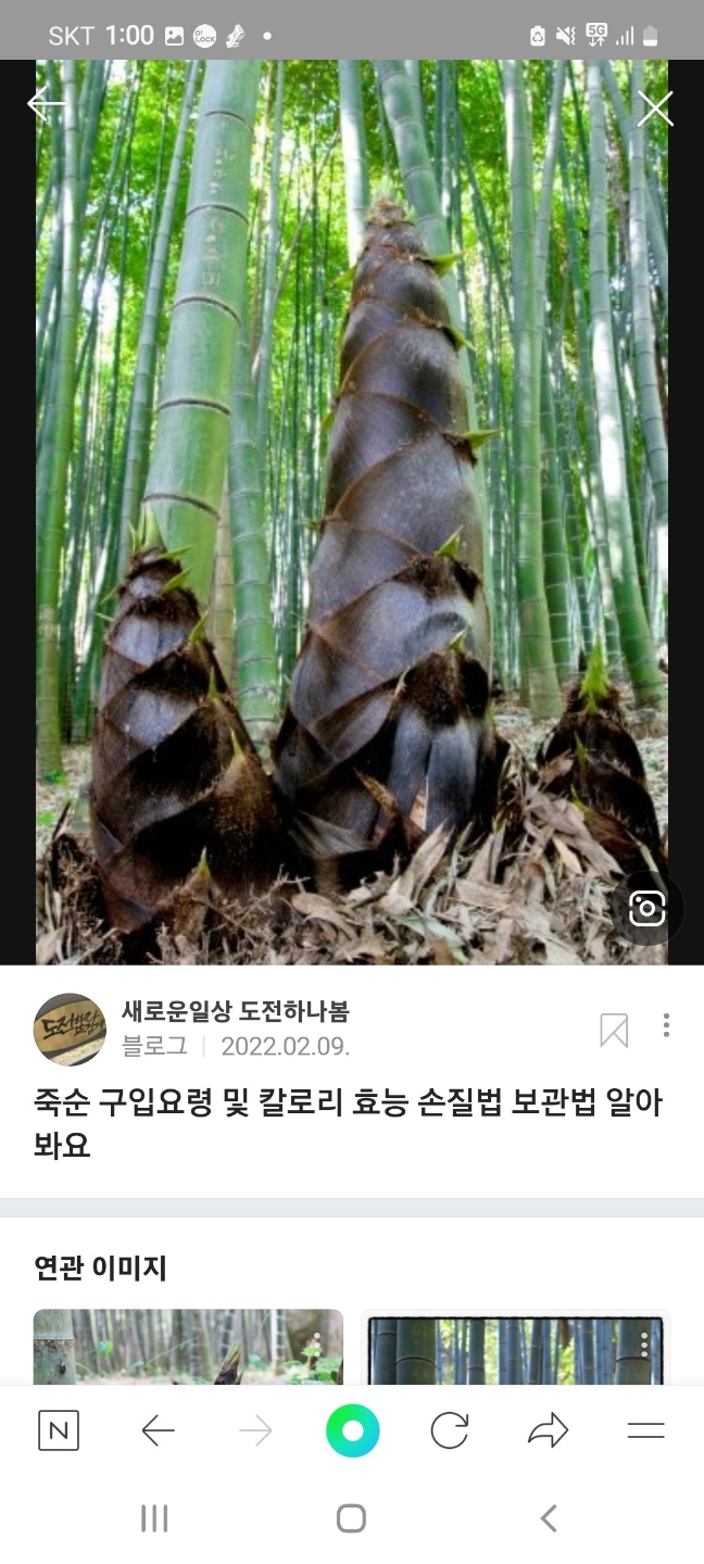 KakaoTalk_20221216_183250327_01.jpg