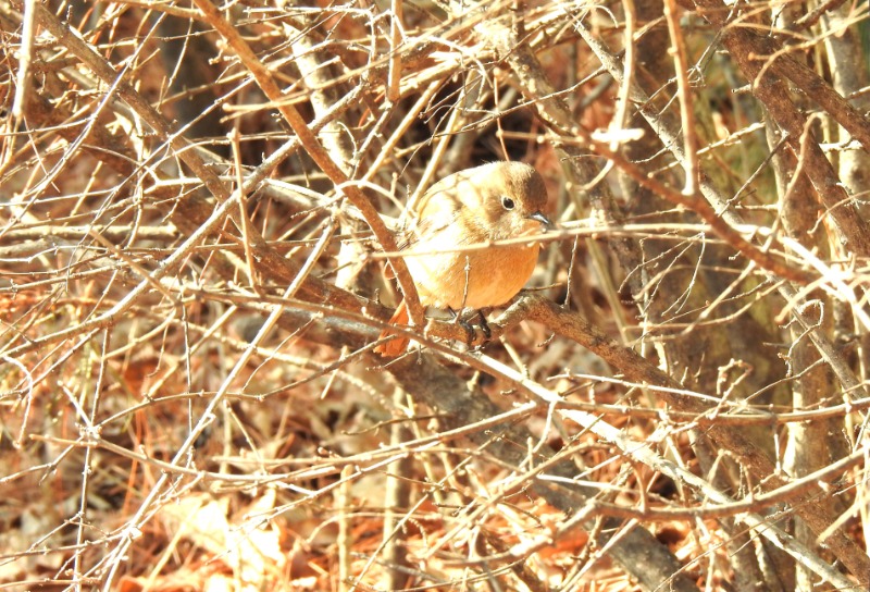 DSCN9319.JPG