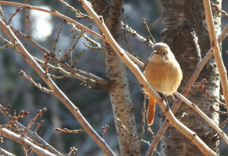 DSCN9332.JPG