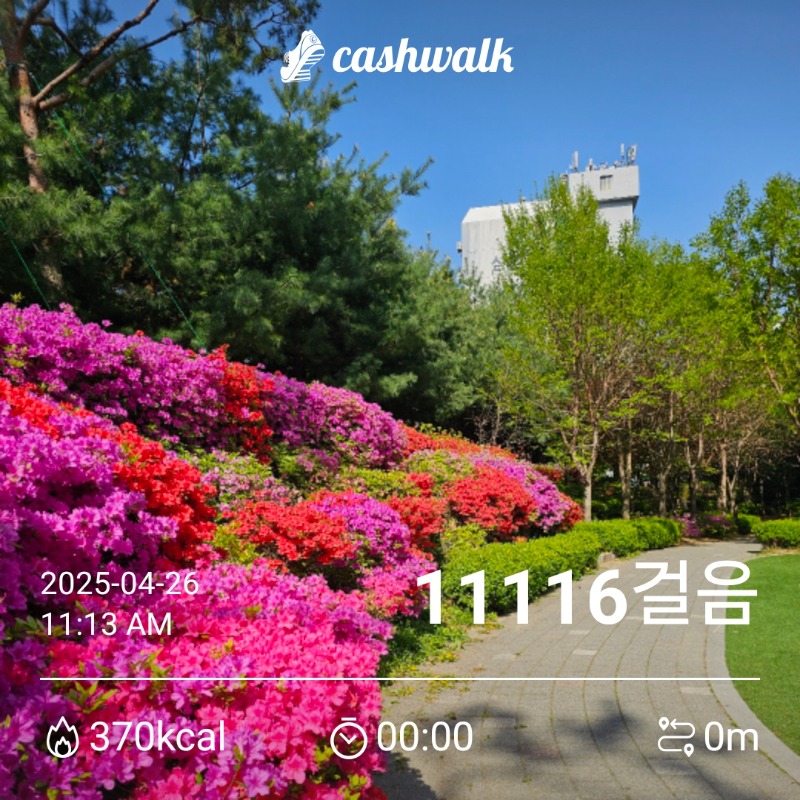cashwalk_timestamp_20250426111426699.jpg