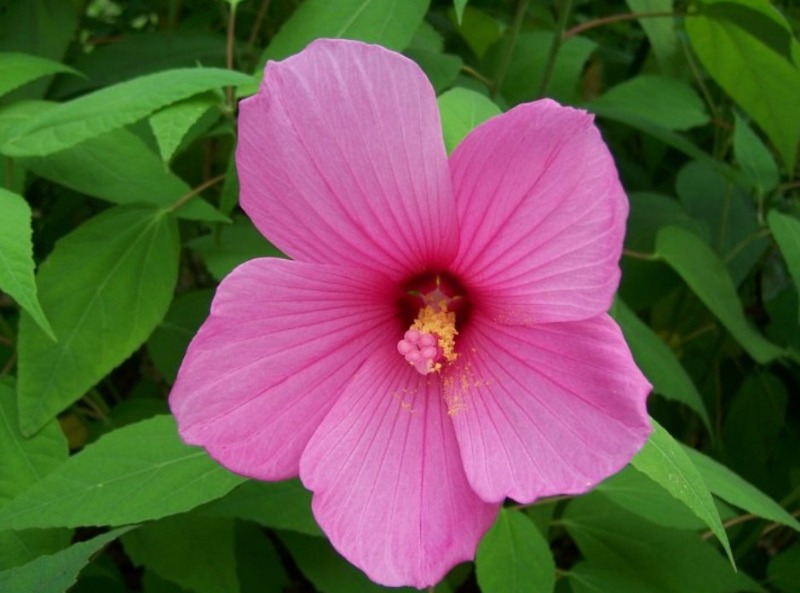 �ο� - ����.JPG