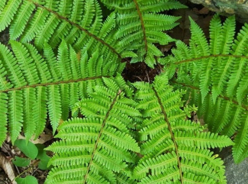 ��ġ�Ĺ� - �ŷ�.JPG