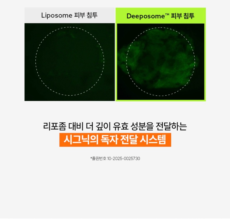 ��Ÿ�̵� �ٿ �� ũ�� ��������_9.jpg